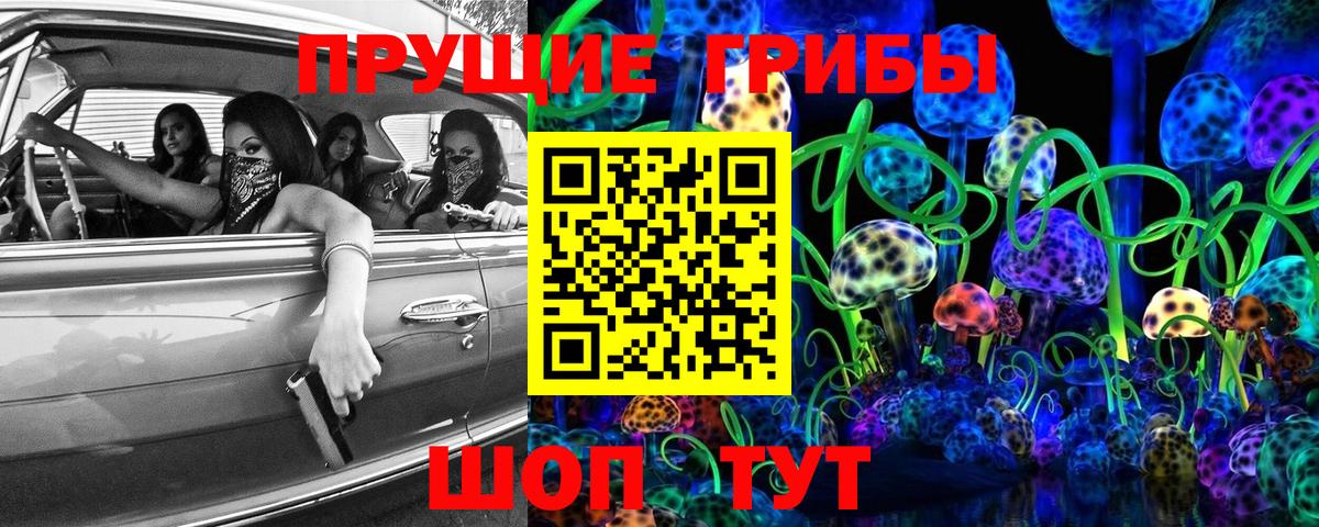 Энгельс  Псилоцибиновые грибы Cubensis  Вход с VPN  Галлюциногенные грибы MAGIC MUSHROOMS 