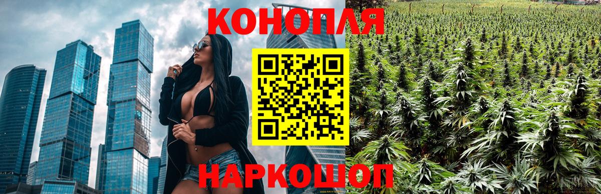Канабис семена  Бошки марихуана OG Kush  Энгельс  Марихуана марихуана  Вход с VPN 